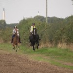 Pleasure ride at Tile Farm