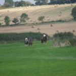 Pleasure ride at Tile Farm