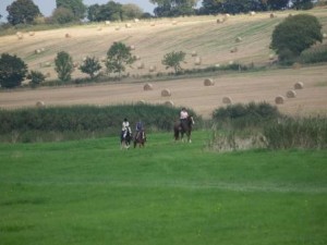 Pleasure ride at Tile Farm
