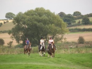 Pleasure ride at Tile Farm