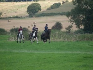 Pleasure ride at Tile Farm