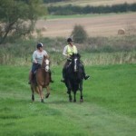 Pleasure ride at Tile Farm