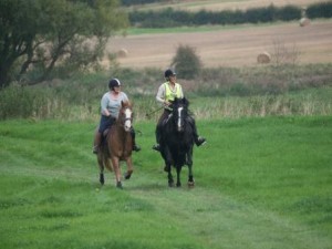 Pleasure ride at Tile Farm