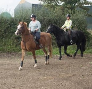 Pleasure ride at Tile Farm