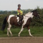 Pleasure ride at Tile Farm
