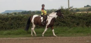 Pleasure ride at Tile Farm