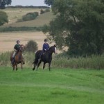 Pleasure ride at Tile Farm