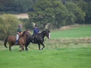 Pleasure ride at Tile Farm