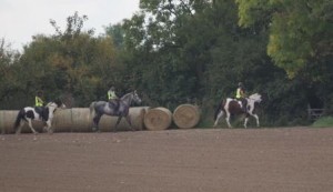 Pleasure ride at Tile Farm