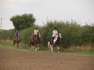 Pleasure ride at Tile Farm