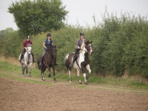 Pleasure ride at Tile Farm