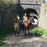 Aston Ring Bridleway