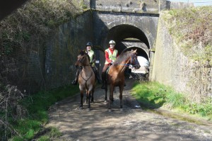 Aston Ring Bridleway