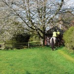 Aston Ring Bridleway