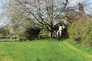 Aston Ring Bridleway