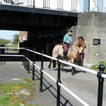 Aston Ring Bridleway