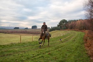 Oakmere Way Bridleway