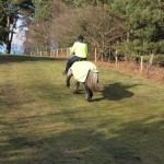 Oakmere Way Bridleway