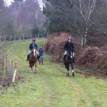 Oakmere Way Bridleway