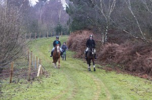 Oakmere Way Bridleway