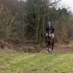 Oakmere Way Bridleway