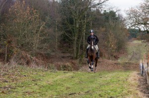 Oakmere Way Bridleway