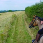 Aston Ring Bridleway