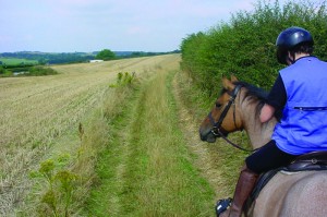 Aston Ring Bridleway